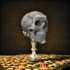 Saintly Skull.png