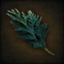 Haoma sapling.png