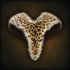 Leopard skin cloak.png